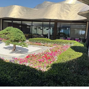 Asian influenced courtyard