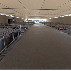 Seemingly countless vats