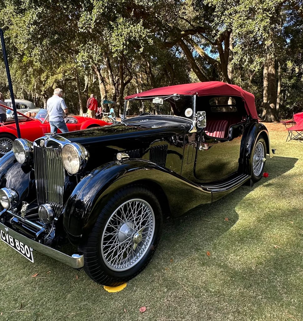 Concours d'Elegance participant